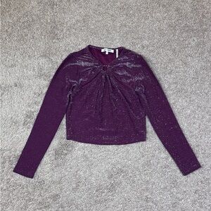 Elegant Purple Long Sleeve Top Silver glitter